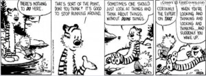 Calvin And Hobbes Quotes On Life: Calvin And Hobbes Facebook Covers ...