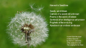 Chaos and Coffee: Sweet, Simple Sunday ~ Seedtime & Harvest