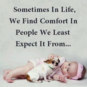 Sometimes In Life, We Find Comfort