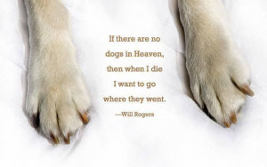 will rogers dog quote