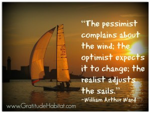 Optimism VS Pessimism…Or Somewhere In Between