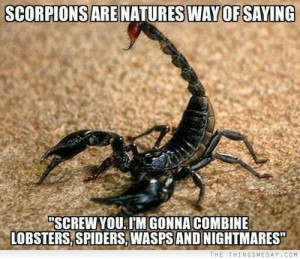 Scorpions are natures way of saying screw you I'm gonna combine ...