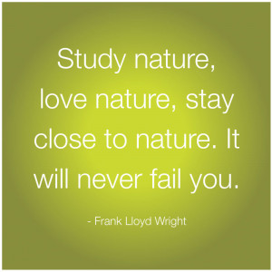 study nature love nature stay close to nature it will never fail you