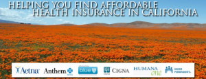diego health insurance contact big big ca blog cobra insurance