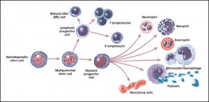 missing.html 20-Aug-2000 11:36 4.2K