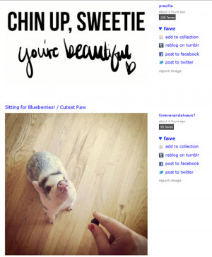 Chin up pig, your beautiful