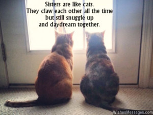 36) Sisters are like cats. They claw each other all the time but still ...