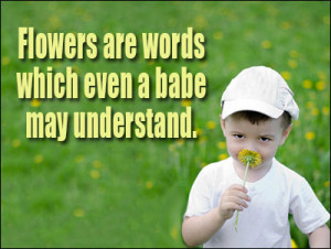 Flower Quotes