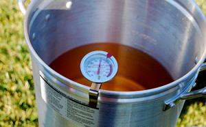 Facts to Know About Biodiesel Fuel