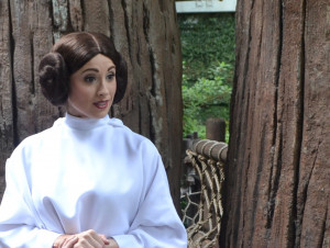 Luke Skywalker and Princess Leia in Walt Disney World Album