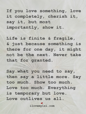 If You Love Something, Love It Completely - I Love My LSI