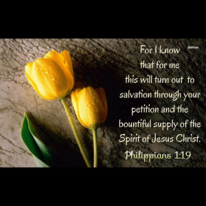 Bible Salvation through Jesus Christ