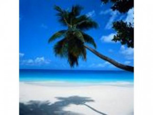 ano+nuevo+mayan+palace+semana+para+6+o+10+personas+jose+maria ...