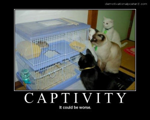 Captivity - it could be worse