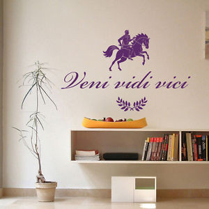 ... -Veni-Vidi-Vici-Quote-Vinyl-Sticker-Horse-Home-Decor-Living-Dorm-ML3