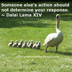 Dalai Lama #quote Need to change how you respond to your #ex ? Click ...