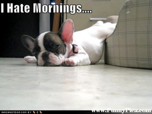 Facebook Twitter Google+ Pinterest StumbleUpon Tumblr Reddit