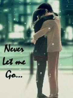 Related Pictures livestock cattle beef belgian blue bull for sale or ...