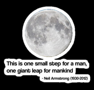 gemzi ox portfolio neil armstrong quote