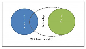 ... Presbyterians – a new denomination), the Fellowship of Presbyterians