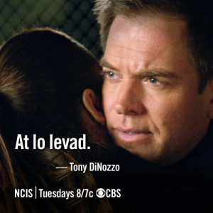 NCIS Quotes - ncis Photo