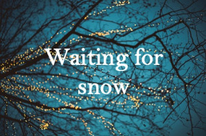 ... love, magic, quote, quotes, snow, snowing, sweet, text, tree, winter