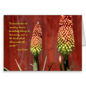 Poker Quotes T-Shirts, Poker Quotes Gifts, Art, Posters, and more