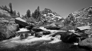 Ansel Adams2