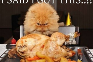 Funny cat and roast turkey | funny-pics.co