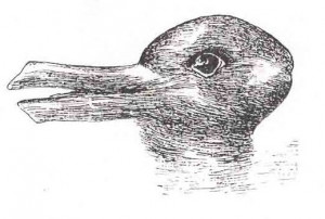 Post image for Duck/Rabbit Illusion Provides a Simple Test of ...