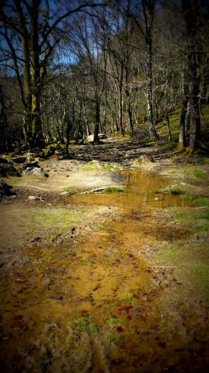 Muddy dirt path Wales. Make sure you splash in the mud and puddles.