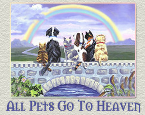 Can you imagine a heaven without pets?