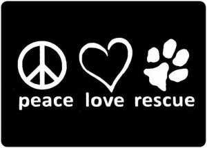 Rescue... #doglovers #quotes