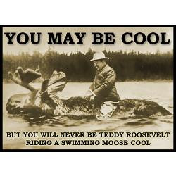 teddy_roosevelt_riding_a_swimming_moose_cool_mugs.jpg?side=Back&height ...