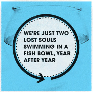 music lyrics, pink floyd, quote, wish you were here