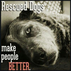 Rescued dogs make people better.