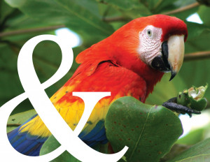 Click to find out more about A & K Latin America & Galapagos