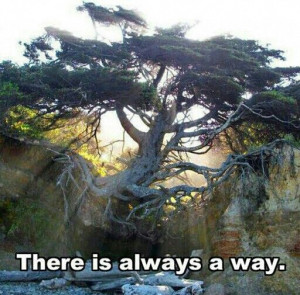 There is always a way. Don't let anyone stop you.