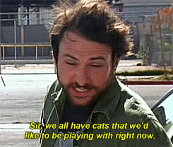cats Charlie Day charlie kelly its always sunny in philadelphia