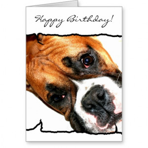 Happy Birthday Dog Greeting...