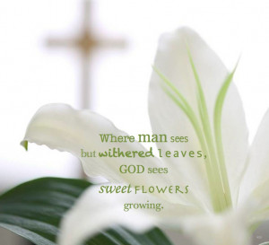 sometimes things are not as they seem..