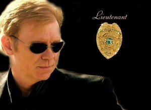Where is Lieutenant Horatio Caine when you really need him?