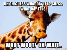 ... giraffe humpday wednesday quotes happy wednesday hump day quote happy