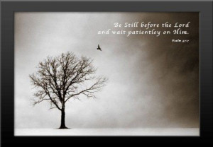 20x16 FRAMED Winter Tree - Psalm 27.7 Innerwallz,http://www.amazon.com ...