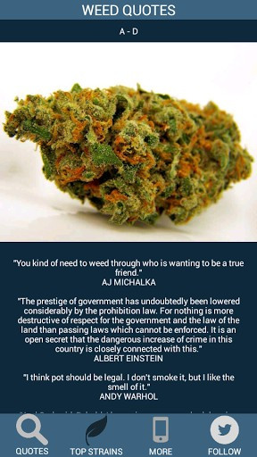 Weed Quotes