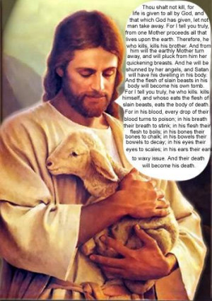 How do vegetarians deal with negative comments and such?