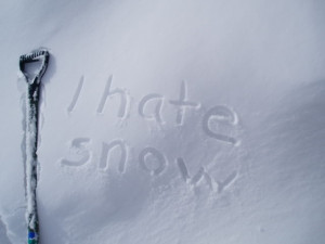 hate snow image