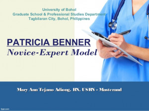 Patricia Benner Novice to Expert