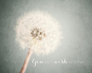 You Are My Wish Come True Typography Quote Photograph