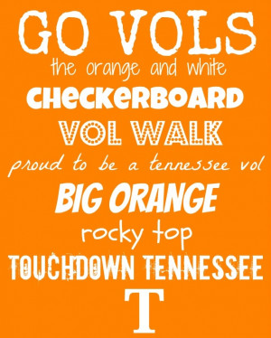 ... volunteers rocky tops ole rocky touchdown tenness tennessee volunteers